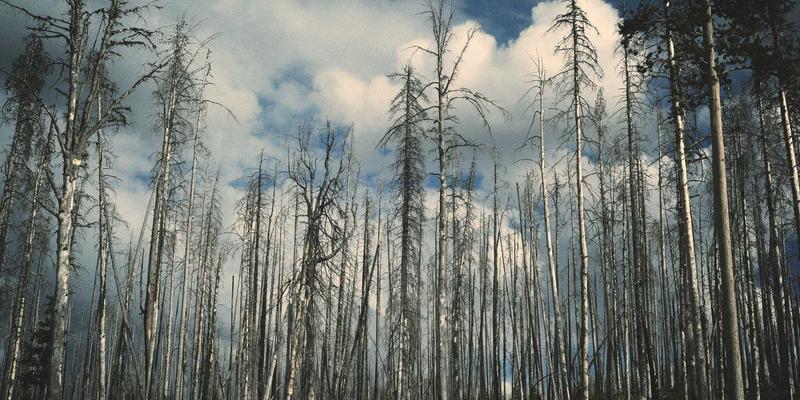 宏基金8：专业资产管理如何优化您的基金投资组合