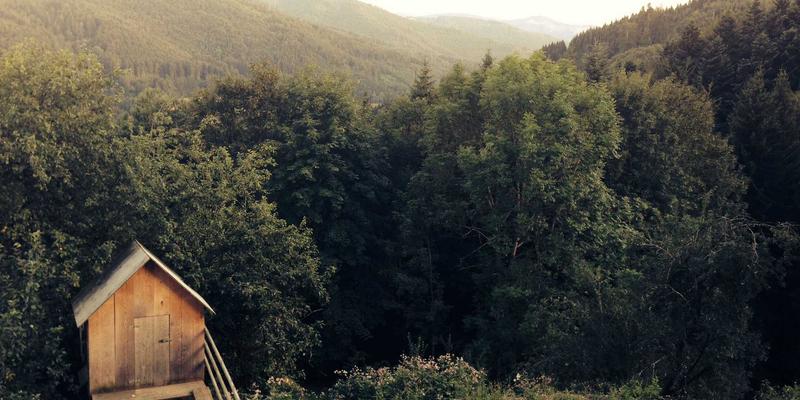 宏基金QDII投资全解析：构建全球化投资组合，精准布局科技巨头与新兴市场